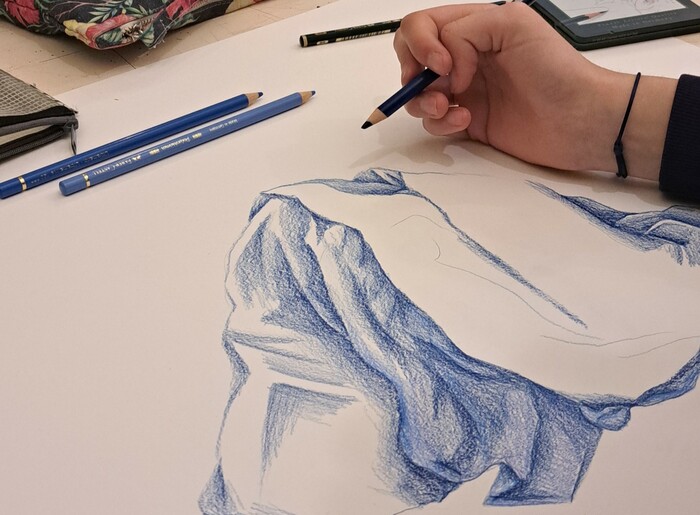 Stage Dessin d'observation (Toussaint 2025)