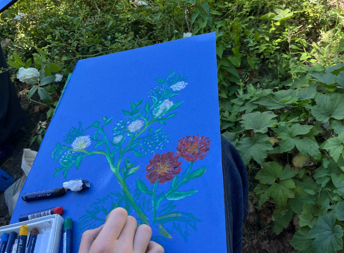 Stage Dessiner en plein air et au musée (Été 2026)